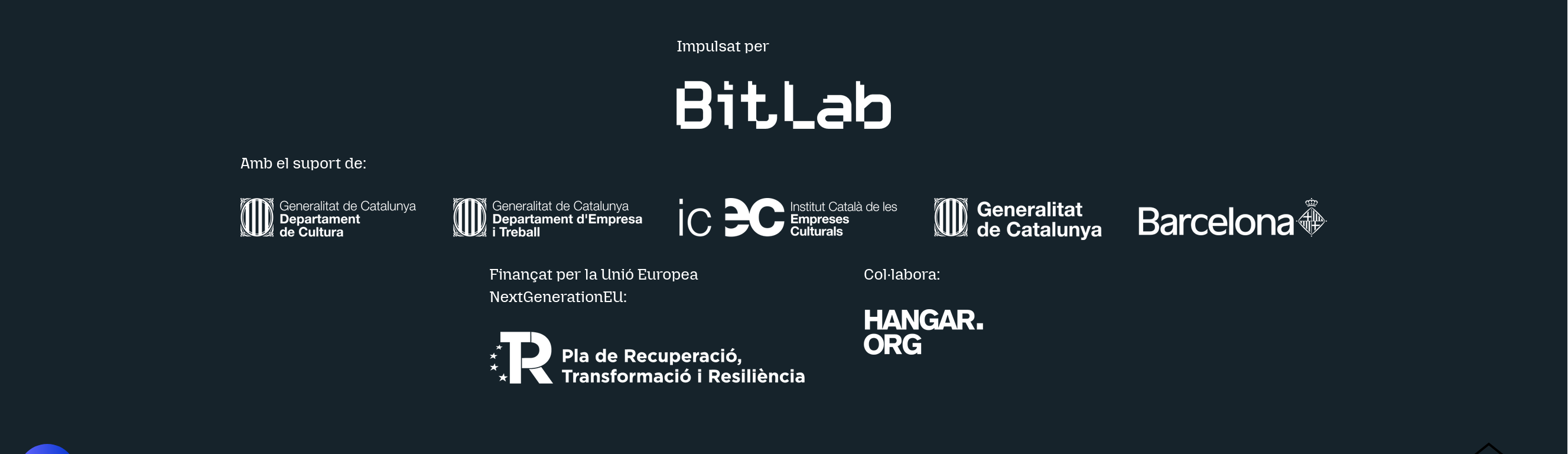 Decidim PlataformESS